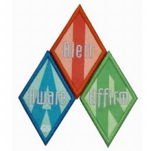 Cadette Breathe Journey Award Set