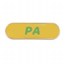 Cadette Girl Scout Program Aide Pin