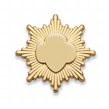 Gold Award Pin - Goldtone