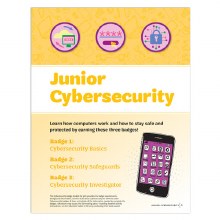 Junior Cybersecurity Badge Req