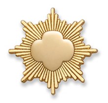 Mini Parent Gold Award Pin