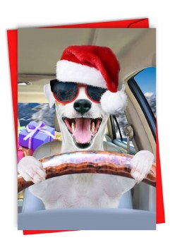 Driving Santa Dog