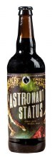 Wiseacre Astronaut Status Imperial Stout 22oz  Bottle