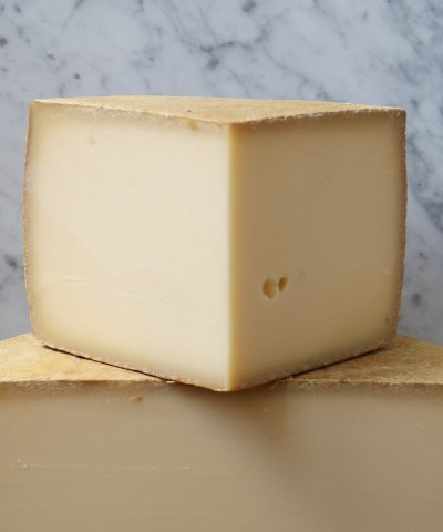 Alfred le Fermier - 2025 ACS Best in Show!