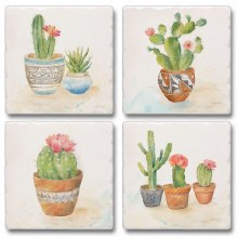 Cactus Garden Coaster Set