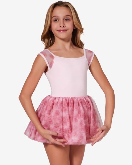 Capezio Rose Printed Mesh Dress F12433C 2-4 PNK