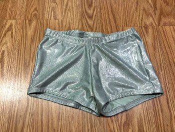 Body Wrappers Metallic Shorts 712 MED SIL