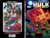 Immortal Hulk #50
Cover N Incentive Ed McGuinness Variant Cover