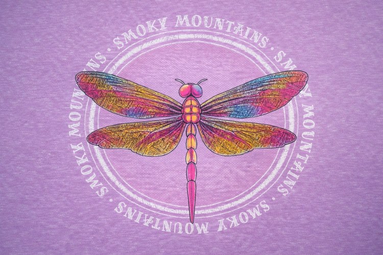 Lambent Dragonfly - Heather Berry
