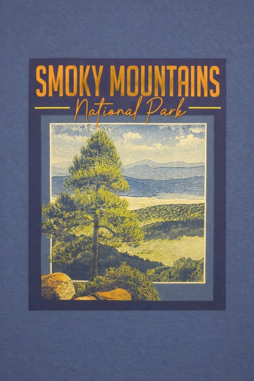 Splendid Snapshot - Denim