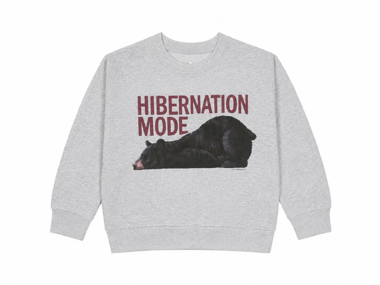 Kid's Crew Hibernation Mode - Sport Grey