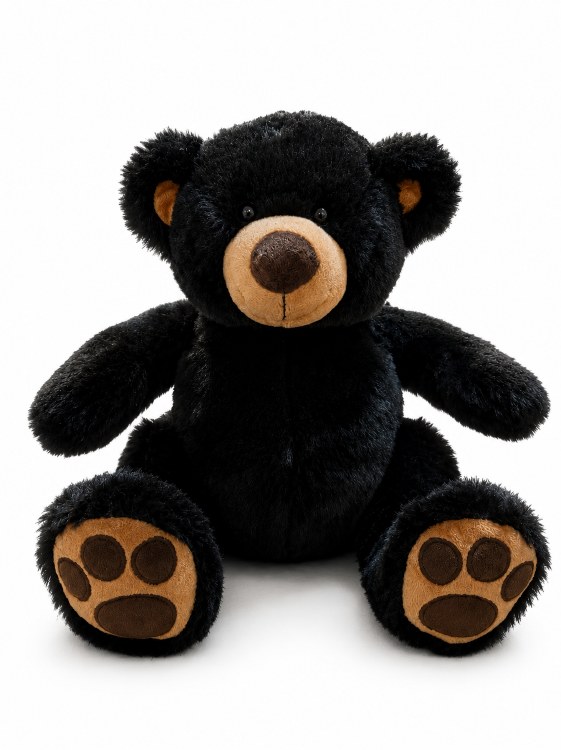 Sitting Black Bear