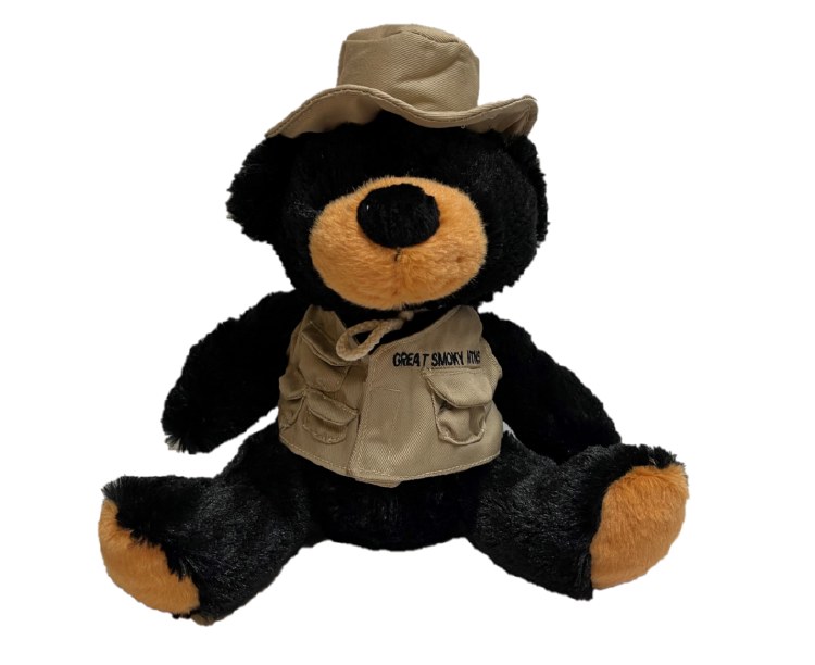 Great Smoky Mountains Fishing Bear