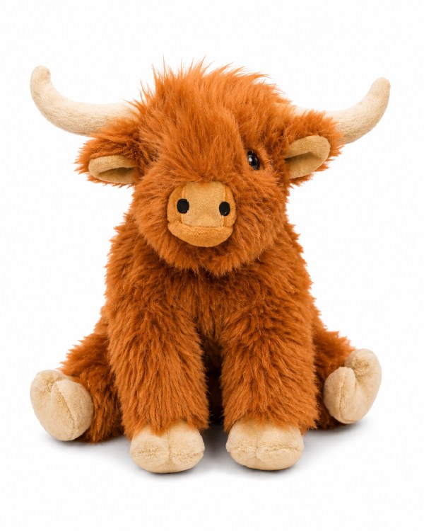 Highland Cow