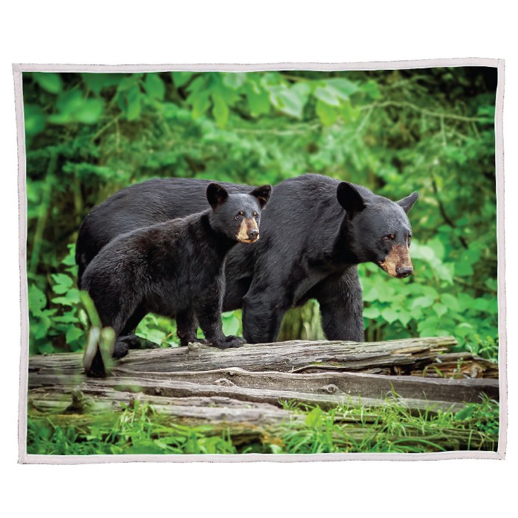 Sherpa Blanket Black Bear with Cub