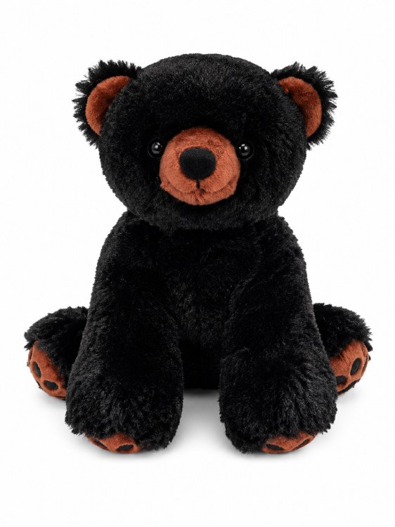 Paws Black Bear