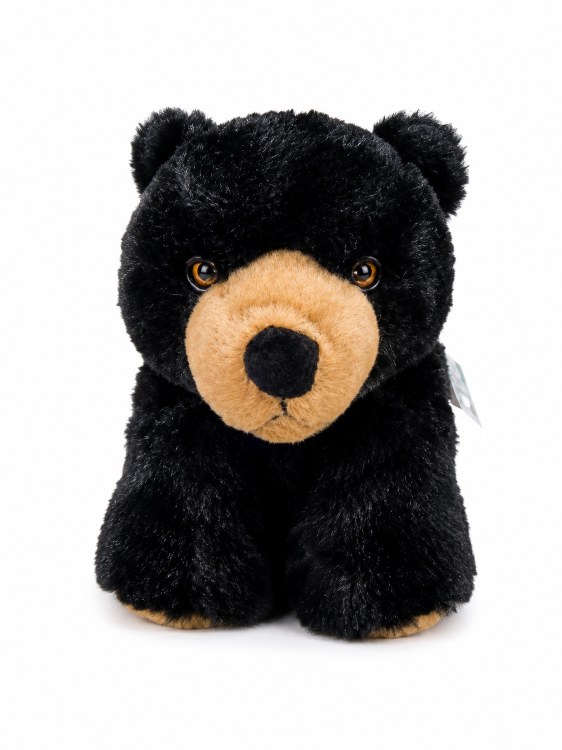 Black Bear
