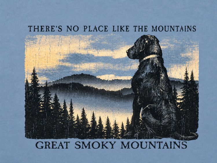 Protector E Mountain - Ice Blue