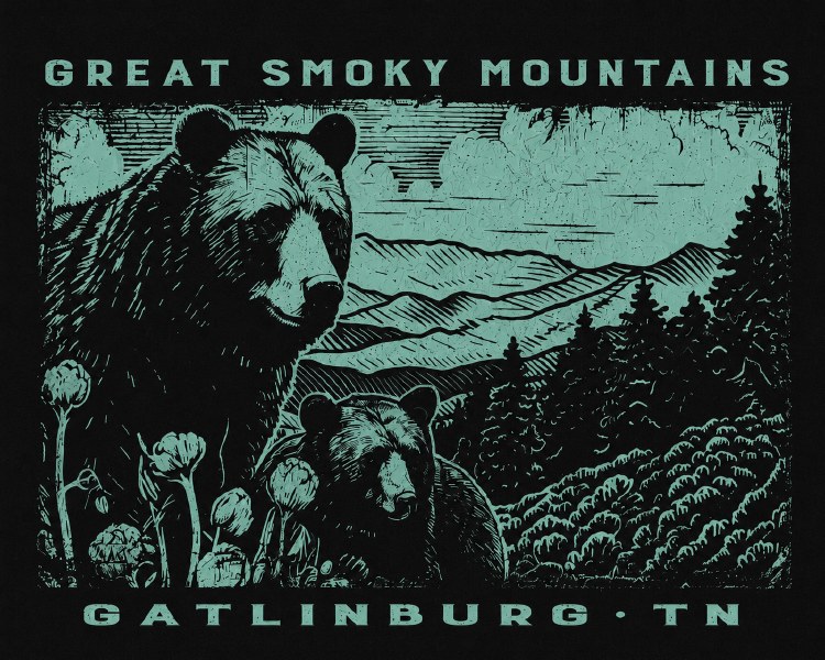 Shoal E Mtn Black Bear - Black