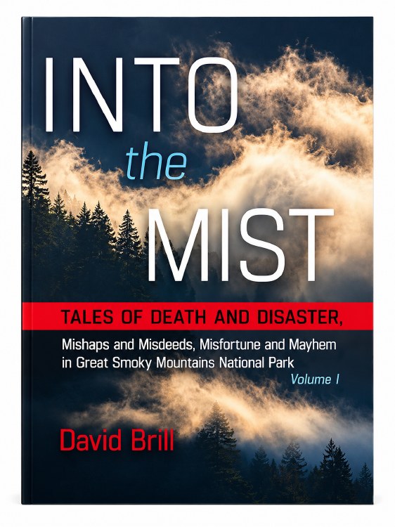 Into the Mist