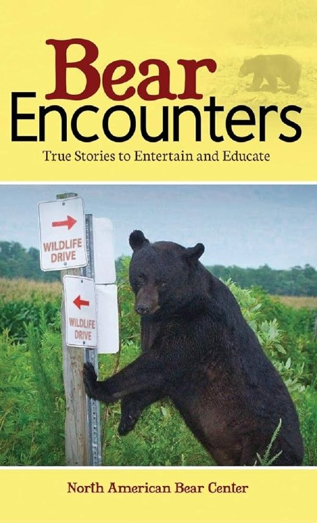 Bear Encounters True Stories to Entertain and Educate