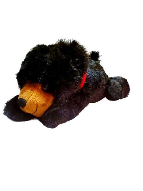 Bear Plush with GSM Bandana