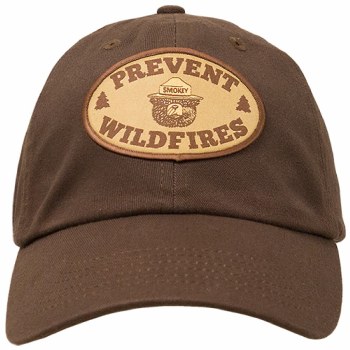 Smokey the Bear Hat with Prevent Wildfires Patch - Brown
