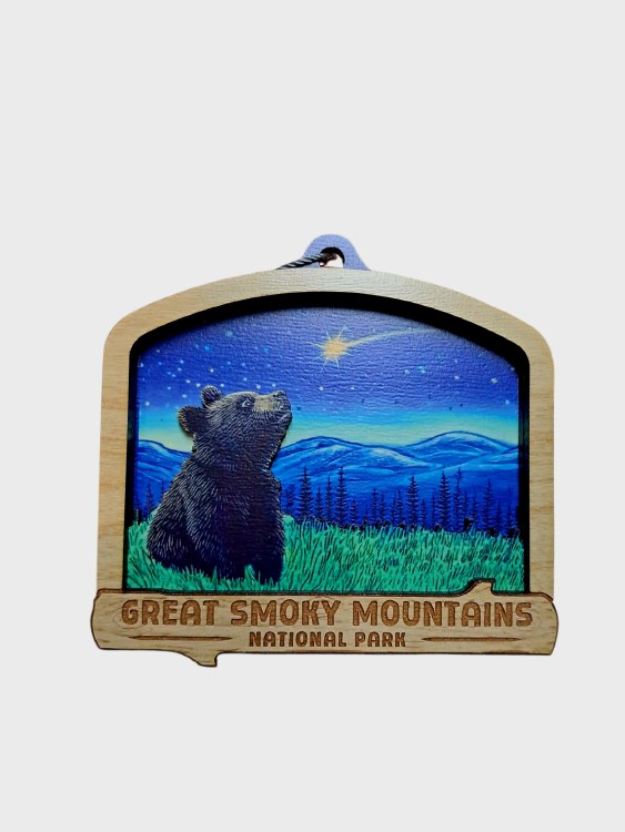 Tim Weberding Ornament- Forest Waterfall Bear