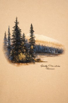 Pinewood Mountain Lake - Sand