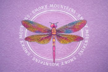 Lambent Dragonfly - Heather Berry