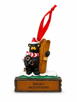 Bearfoots Skier Bear Ornament/Magnet