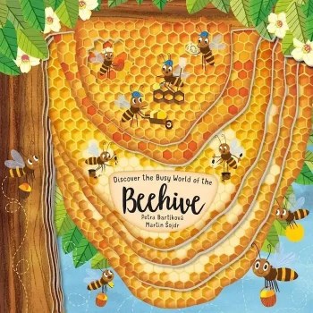 Discover the Busy World of the Beehive