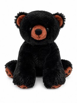Paws Black Bear