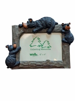 Great Smoky Mountains Willie Bear Frame