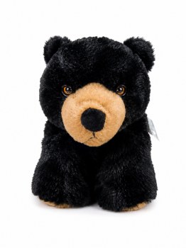 Black Bear