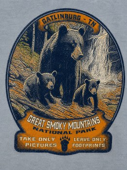 Cortina Black Bear Waterfall - Granite