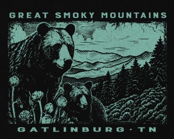 Shoal E Mtn Black Bear - Black