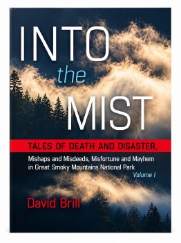 Into the Mist