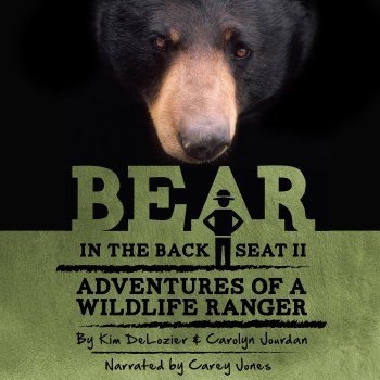 Bear in the Back Seat II