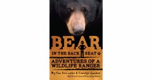 Bear in the Backseat by Kim DeLozier & Carolyn Jourdan