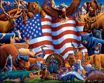 Animals of America Puzzle 500 Pieces