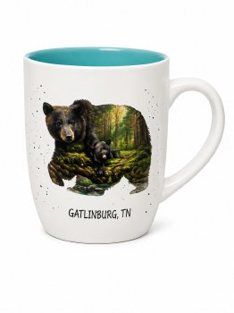 Bear Family Gatlinburg Tennessee Mug