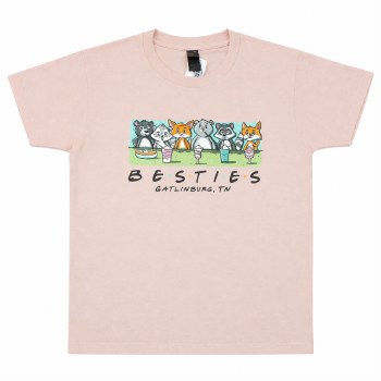 Additional picture of Gatlinburg Woodland Friends - Dusty Rose - S