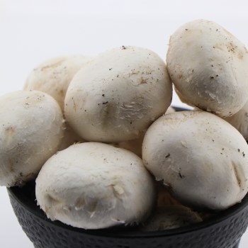 Hl Whole White Mushrooms
