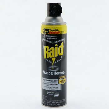 Raid Wasp & Hornet Spray