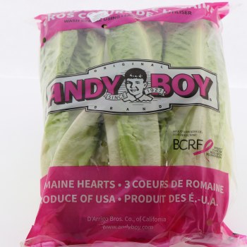 Romaine Hearts - Andy Boy