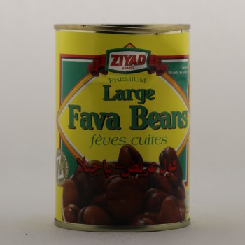 Ziyad Large Fava Beans
