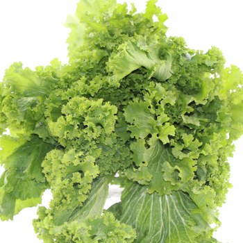 Mustard Greens