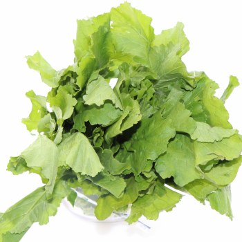Turnip Greens