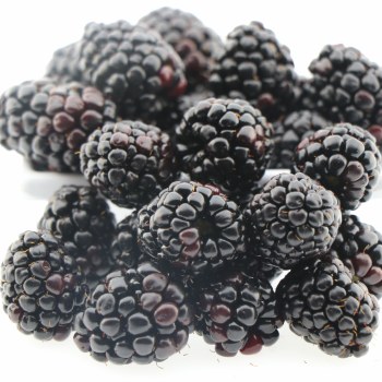 Blackberries